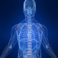 lymphatic_flush