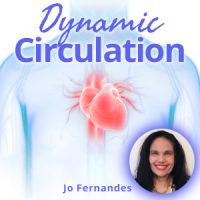 Dynamic Circulation Dynamic Circulation