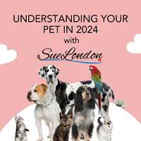 Understanding Your Pet in 2024
